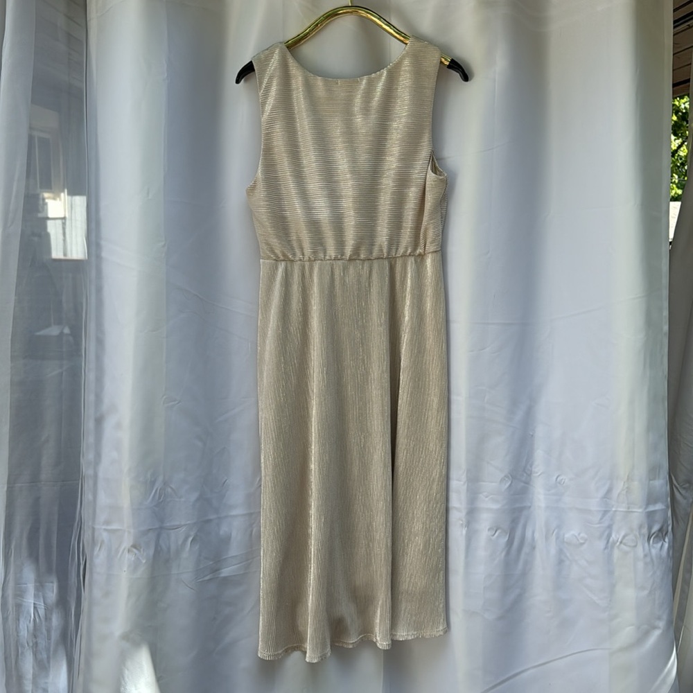 Kiyonna spotlight cinch dress - Picture 7 of 7